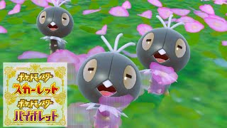 コフキムシ６匹に囲まれて癒されピクニック【ポケモンSV】