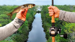 Finding TROPHY Fish In Dead End Canals! (Live Bait Fishing)