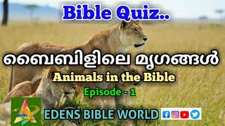 BIBLE QUIZ //ബൈബിളിലെ മൃഗങ്ങൾ Episode - 1//Alan s Joy//