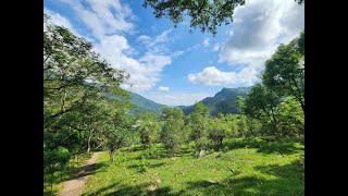 台東景點-知本國家森林遊樂區