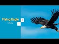 Vertical Slider | JavaScript