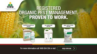 OCP - Registered Organic Insecticide. Proven To Work.