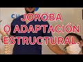 ⚡️Joroba o Giba *dolor CERVICAL* TRATAMIENTO🔥