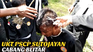 UKT SABUK IJO & BIRU PERGURUAN. PSCP RANTING SUTOJAYAN CABANG BLITAR.