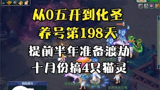 梦幻西游：从零五开到化圣第198天，十月份搞4只性价比猫灵