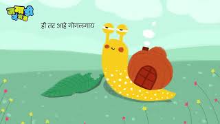 Jamadi jammat | जमाडी जंमत | हळू हळू, गुळू मुळू |  rhymes | बालगीत | गोगलगाय | for kids