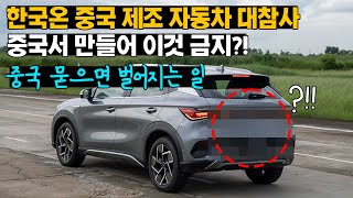 한국에 들어온 중국 제조 자동차 대참사