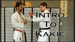 Waza Wednesday 5/10/17 - Introduction to Kakie/Kakidi