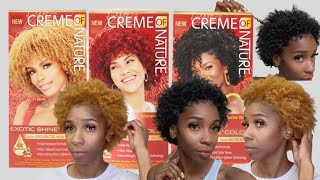 GINGER BLONDE / DIY HAIR DYE ON NATURAL HAIR / CREME OF NATURE