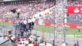 Chequered Flag - 2014 German Grand Prix