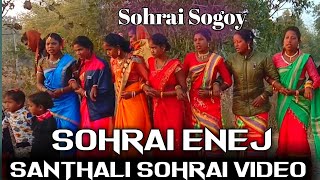 SOHRAI ENEJ 2022 | ST STAR boyzz | Santhali Sohrai Video