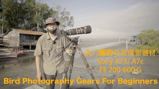 入门版鸟类摄影器材 Sony A73/ A7c FE 200-600 G Bird Photography Gears for Beginners