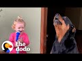 Loyal Rottweiler Copies Everything Her Baby Sister Does | The Dodo Soulmates