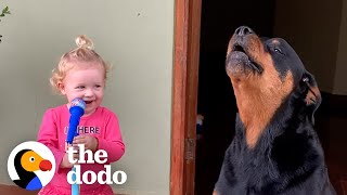 Loyal Rottweiler Copies Everything Her Baby Sister Does | The Dodo Soulmates