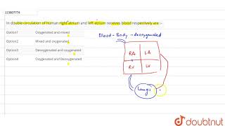 In double circulation of human right atrium and left atrium receives blood respectively are :-