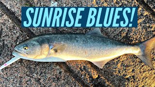 Sunrise Topwater Bluefish! Jetty Fishing Long Island!