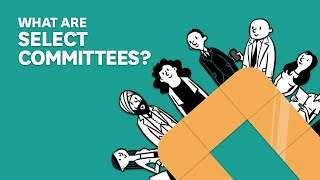 What are select committees?