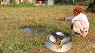 Fishing Video || Grandpa showed extraordinary fishing talent in the field || Amazing hook fishing