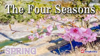 The Four Seasons  SPRING 【エバーグレイズ香肌峡】