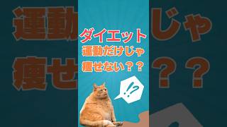 【犬猫】ダイエットするなら・・・【獣医師・愛玩動物看護師】