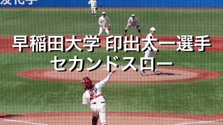 早稲田大学 印出太一選手 セカンドスロー