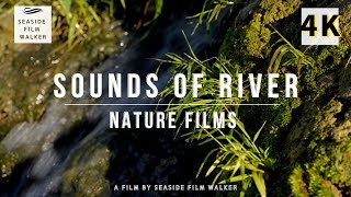 【癒しの自然音】集中・睡眠・リラックスできる自然の水の音と美しい4K映像｜The Sound of Water for Rest. 4K Video 3Hours｜Field recording