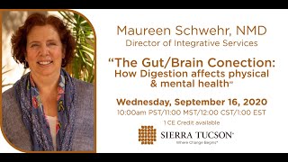 The Gut-Brain Connection: How Digestion Affects Physical and Mental Health