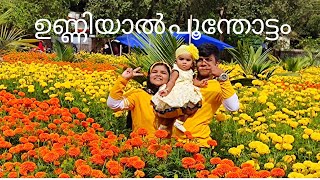 Tirur/Unniyal flowers garden. ഉണ്ണിയാൽ പൂന്തോട്ടം  👍👍😍😍