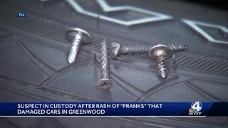 Greenwood Police Department take person in custody in cases of  'prank' that damaged cars