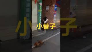 小巷子