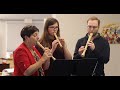 2. andante grazioso recorder demo