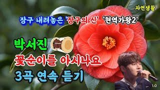 박서진 [꽃순이를 아시나요] '현역가왕2' 장구 내려놓은 장구의 神_3곡연속 듣기 \u0026 배우기(자막 포함) #박서진#꽃순이를 아시나요#장구의 신#현역가왕2#닻별#트롯트#살림남