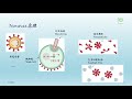 新冠杂谈 novavax疫苗的工作原理和优点，以及美国 世界疫情现况及疫苗注射