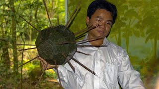 Hand to Hand Jungle Combat - America's Vietnam War Special Forces