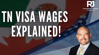 TN Visa Income Flexibility: Understanding Wages and Compensation
