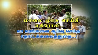 மாலை முரசு செய்தி எதிரொலி... போச்சம்பள்ளி அருகே மா மரங்களை ஆய்வு செய்த தோட்டக்கலைத்துறை...!