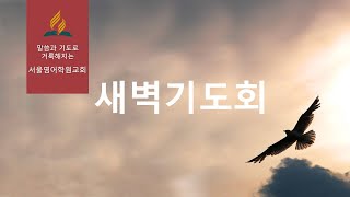 [서울영어학원교회 새벽기도] 2024년 12월 5일 - 이사야 46장