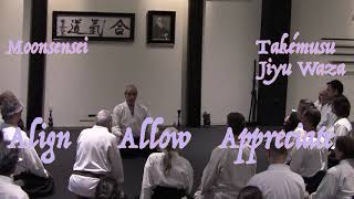 Aikido: Takémusu Meditation Microdosing