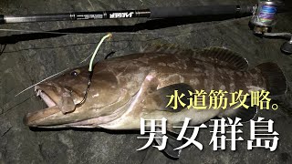 男女群島でクエ釣り　水道筋を攻略してキャッチ‼︎