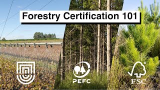 What Forestry Certification means to Australia's Timber Supply Chain (Webinar)