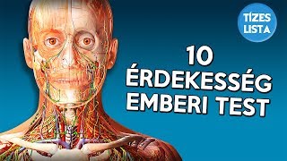 10 érdekesség az emberi testről