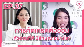 🟢รายการครูก้อยพบแพทย์ Ep.37 การคัดเกรด​ตัวอ่อน ตัวอ่อนที่ดีมีลักษณะ​อย่างไร