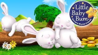 Sleeping Bunnies | Little Baby Bum Nursery Rhymes for Babies, #NurseryRhyme - "Sleeping Bunnies