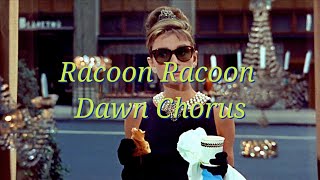 🤎 새벽 어스름 | Racoon Racoon - Dawn Chorus[가사/lyrics/해석/번역/한국어] | 발걸음 맞추며 함께 살아가기에, 👥️