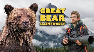 Wildlife Photography in the Great Bear Rainforest – Grizzlies, Camera Settings, and More!