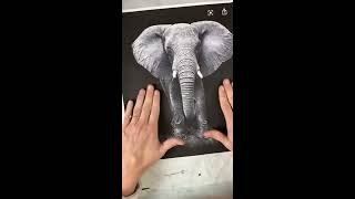 Watercolor Class - Elephant