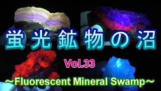 蛍光鉱物の沼 ～Fluorescent Minerals～ Vol.33【クイズ編】