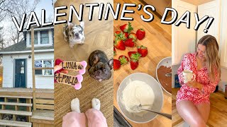 VALENTINE'S DAY TRIP VLOG | february vacation: taking the puppies to michigan!