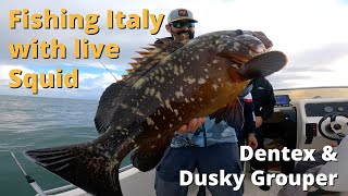 Fishing Italy with Live Squid! Dentex and Dusky Grouper