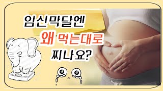 #421 임신 막달이 되면 왜 이렇게 살이 찔까? 임신막달 00의 비밀